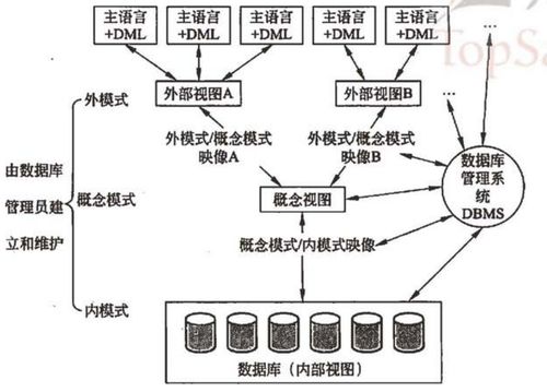 软考学习记录 系统架构设计师教程 第二章 计算机网络基础知识笔记